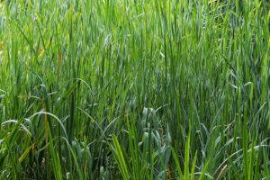 リトリート施設で心身を癒すための最適な選び方は？