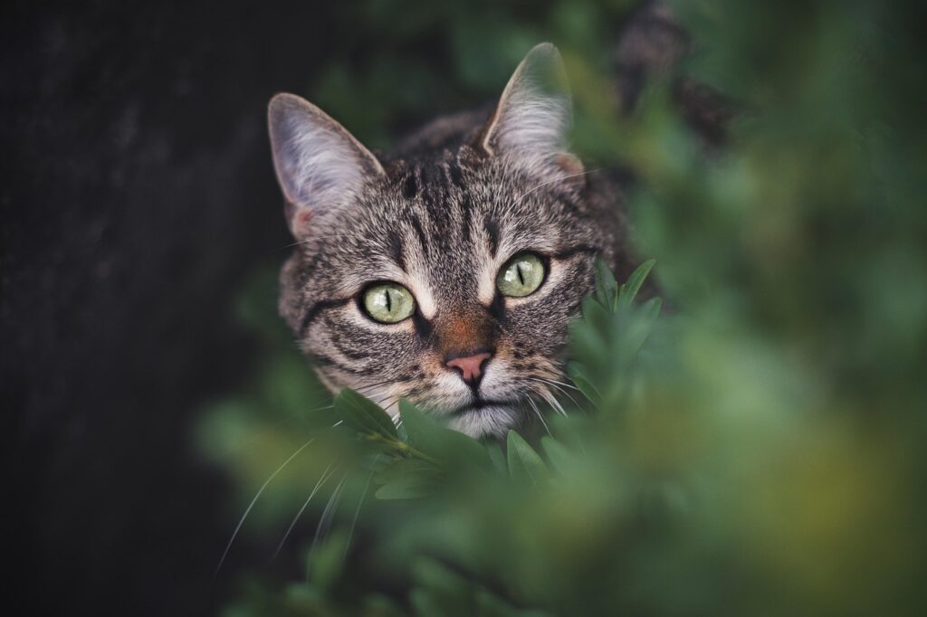 国内一人旅で訪れるべき穴場スポットは？