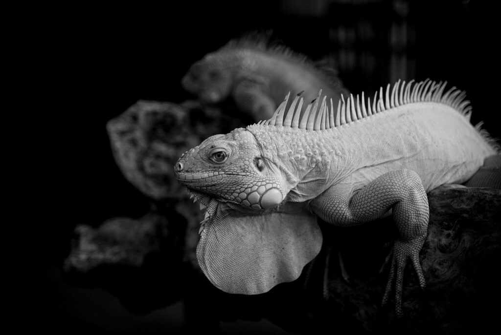 ウェルネスリトリートとはどんな体験ができるのか？