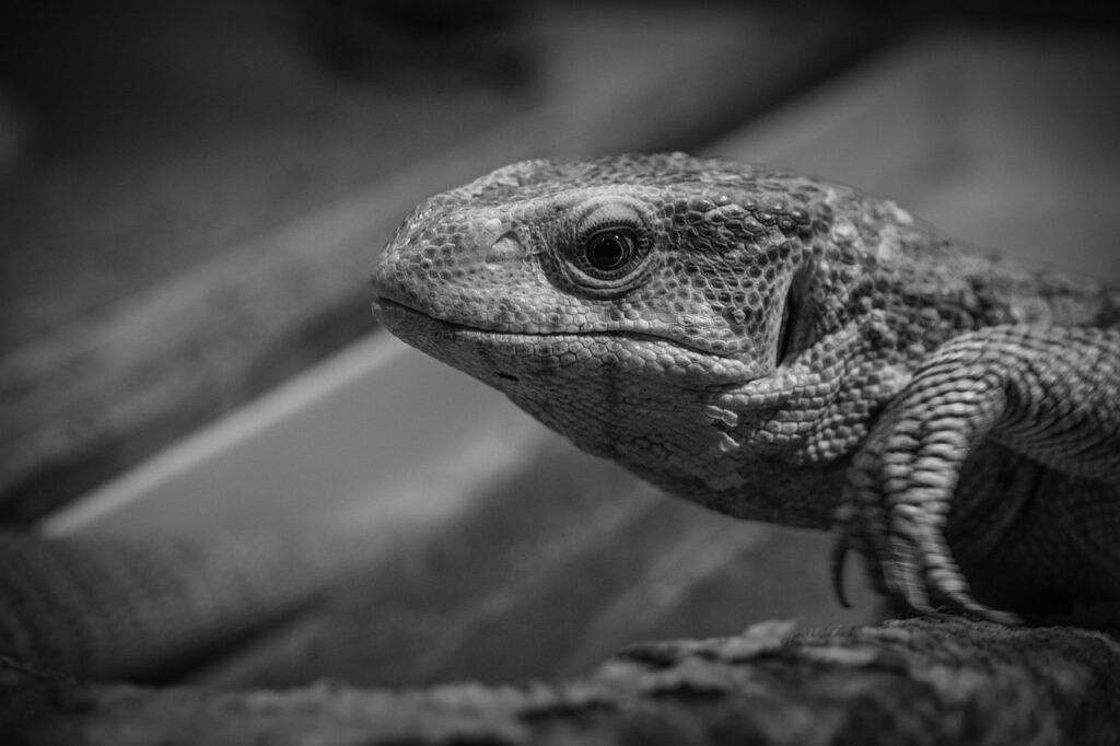 リトリートでの瞑想を深めるためのポイントは？