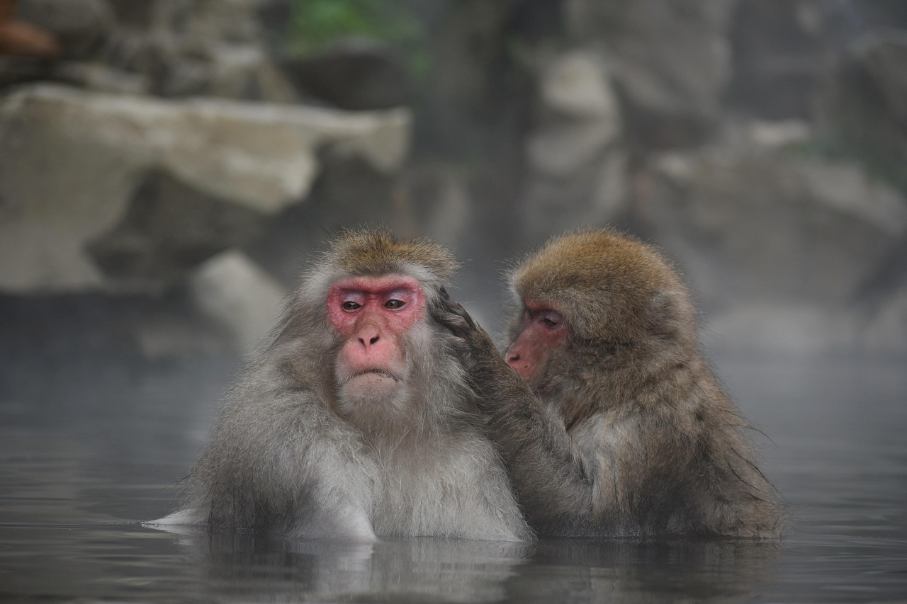 一人旅で楽しむ部屋付き露天風呂の魅力とは？