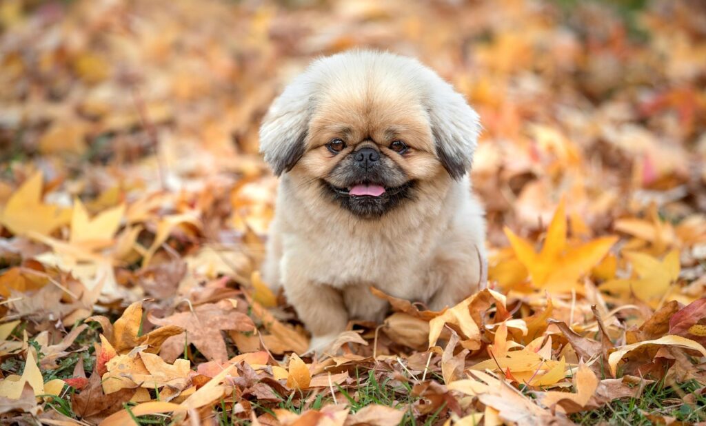 ソロ旅行におすすめの国内の観光地は？