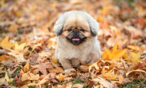 ソロ旅行におすすめの国内の観光地は？