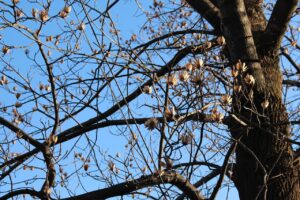 一人旅での寂しさを解消する方法は？