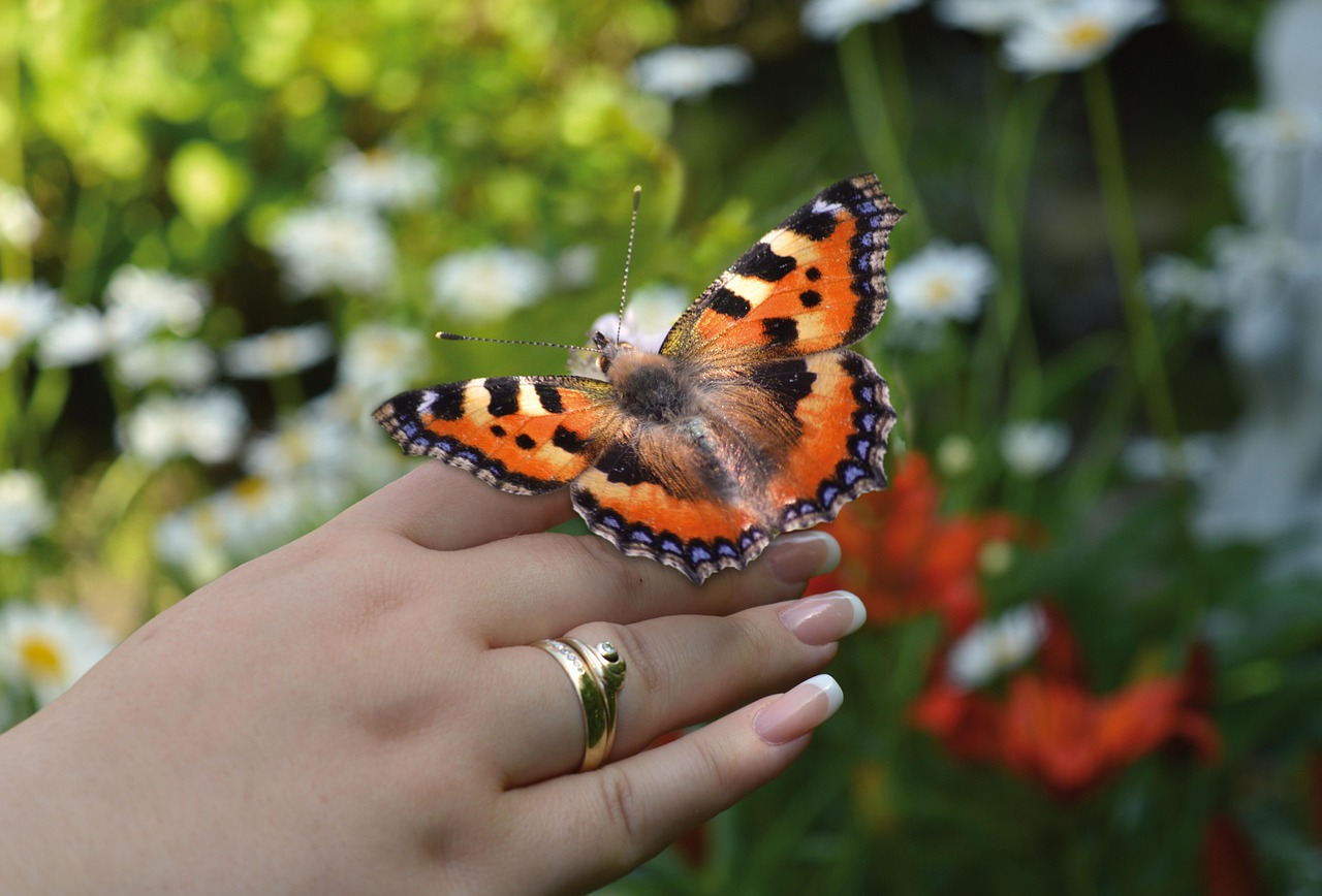 宿坊の体験でおすすめのプランは？