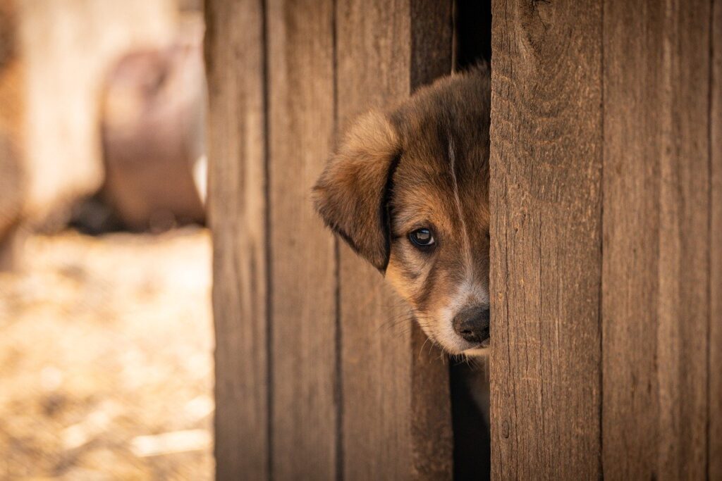 一人旅で美容を重視した旅行に最適な一人部屋で過ごす旅館は？